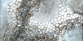 Victoria Ta